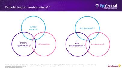 Bronchial and nasal epithelium: are they the same?