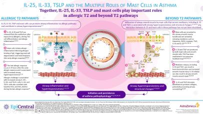 Modulation of mast cell-dependent constriction of human airways by epithelial cytokines