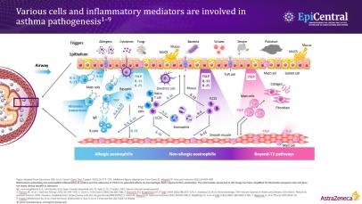 The epithelium: from pathogenesis to the clinic, and the use of biomarkers