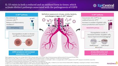 COPD ATS slide