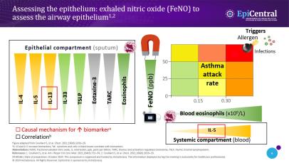 Understanding the critical role of the epithelium as an immune-functioning organ and driver of multiple inflammatory pathways that underpin disease thumbnail