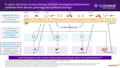 ERhS 2025 De Corso presentation