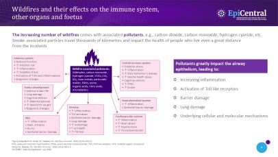 Environmental impact on asthma