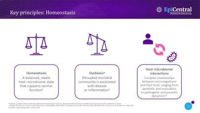 Slide describing the key principles of epithelial homeostasis