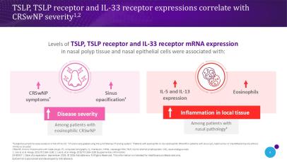 Slide showing the relationship between cytokine expression and CRSwNP severity.