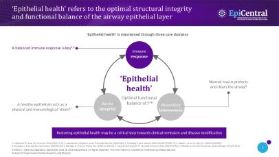  Slide outlining the three core domains of airway epithelial health.