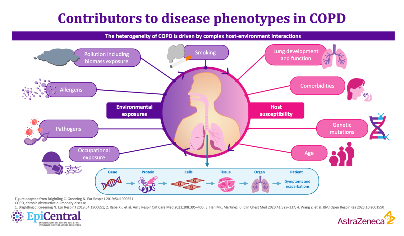 EpiCentral Phenotypes of Disease infographic