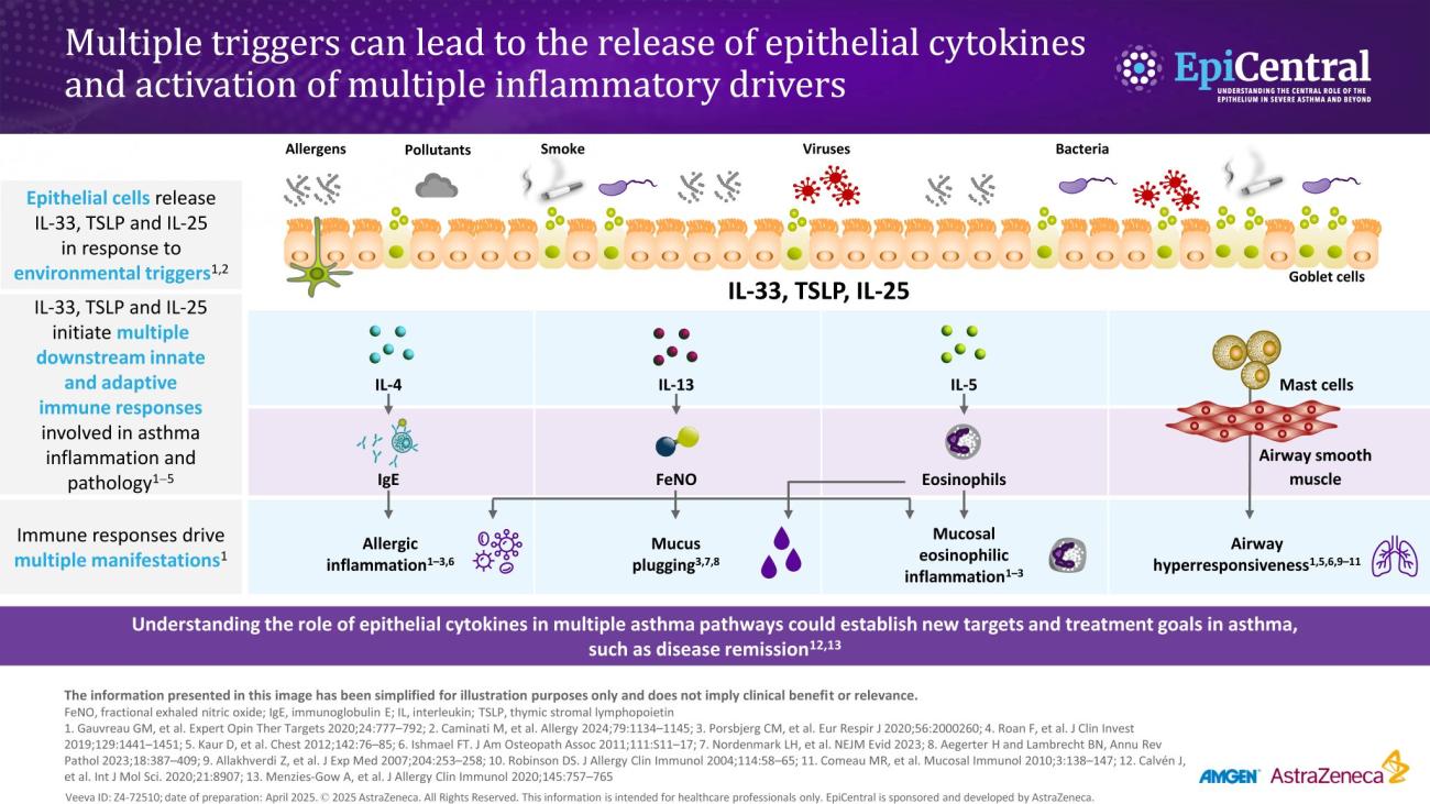 Inflammatory cascade