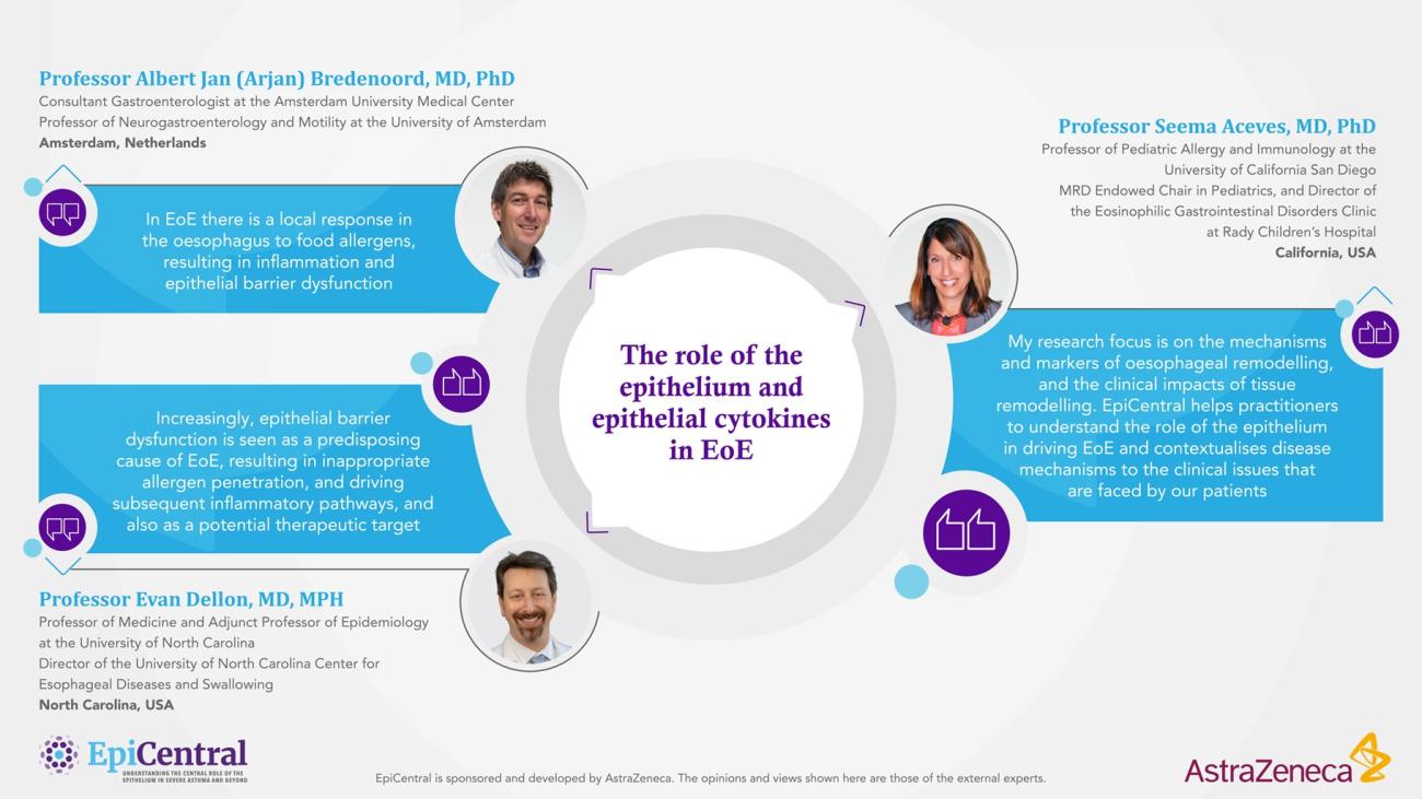 Expert quotes explaining the clinical relevance of the epithelium and epithelial cytokines in EoE